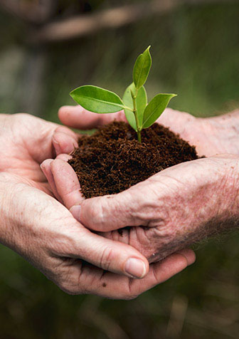 Agriovas lab research