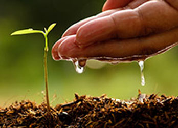 Chart of commodity price trends