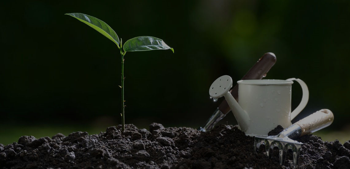 Image of high-yield crops