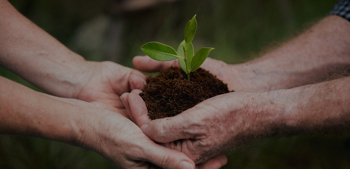 Image of sustainable farming practices